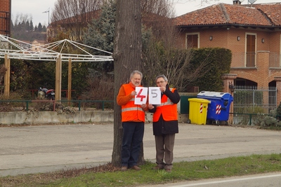 censimento fotografico degli alberi presenti lungo l ex strada statale SS 10 nel comune di Baldichieri.   