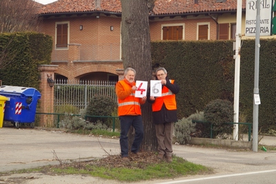 censimento fotografico degli alberi presenti lungo l ex strada statale SS 10 nel comune di Baldichieri.   