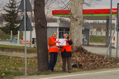 censimento fotografico degli alberi presenti lungo l ex strada statale SS 10 nel comune di Baldichieri.   