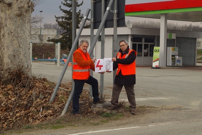 censimento fotografico degli alberi presenti lungo l ex strada statale SS 10 nel comune di Baldichieri.   