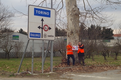 censimento fotografico degli alberi presenti lungo l ex strada statale SS 10 nel comune di Baldichieri.   