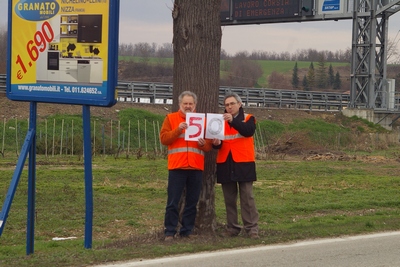 censimento fotografico degli alberi presenti lungo l ex strada statale SS 10 nel comune di Baldichieri.   