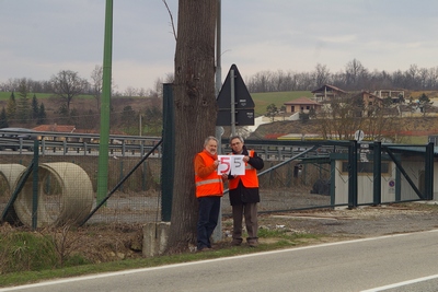 censimento fotografico degli alberi presenti lungo l ex strada statale SS 10 nel comune di Baldichieri.   