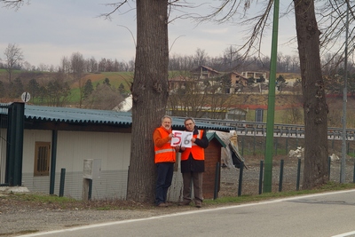 censimento fotografico degli alberi presenti lungo l ex strada statale SS 10 nel comune di Baldichieri.   