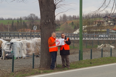 censimento fotografico degli alberi presenti lungo l ex strada statale SS 10 nel comune di Baldichieri.   