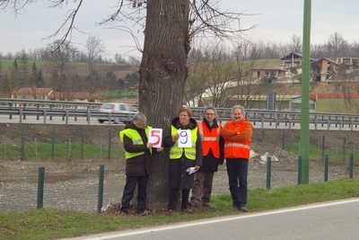 censimento fotografico degli alberi presenti lungo l ex strada statale SS 10 nel comune di Baldichieri.   