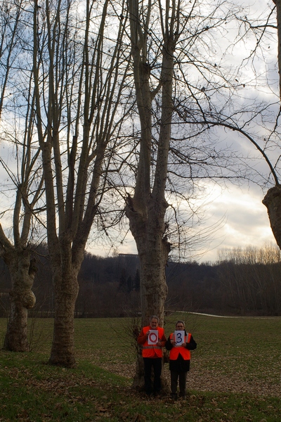 censimento fotografico degli alberi presenti lungo l ex strada statale SS 10 nel comune di Baldichieri.   