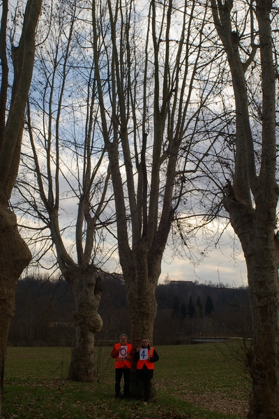 censimento fotografico degli alberi presenti lungo l ex strada statale SS 10 nel comune di Baldichieri.   