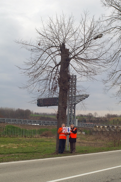 censimento fotografico degli alberi presenti lungo l ex strada statale SS 10 nel comune di Baldichieri.   