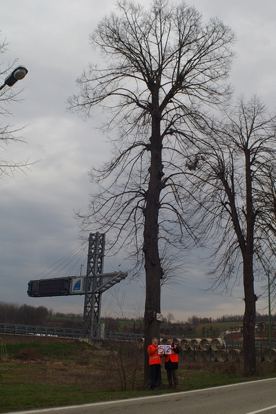 censimento fotografico degli alberi presenti lungo l ex strada statale SS 10 nel comune di Baldichieri.   