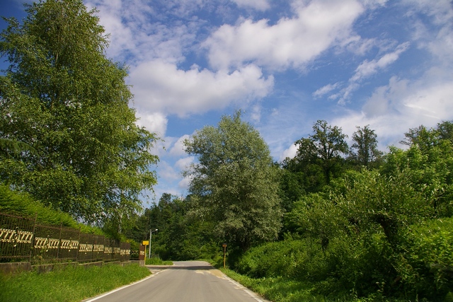 Esempi di pregevoli presenze arbore lungo strade prissime alla città di Asti: Casabianca.