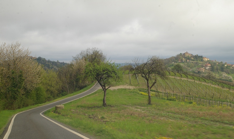 Strade e vigneti: un connubio vincente nei paesaggi astigiani. Nella foto il territorio comunale di Pino d'Asti.