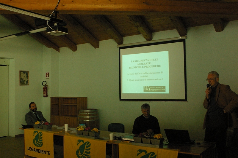 Relazione del Dott. Massimo Tirone della Società italiana di Arboricoltura sulla valutazione della stabilità degli alberi e del pericolo nella gestione delle alberate stradali  [FOTO di Stefano Porta].