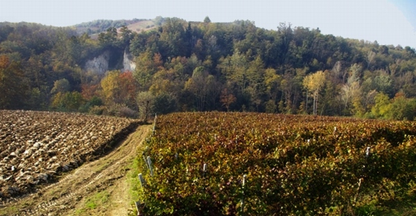 Veduta del bellissimo territorio tra i comuni di Isola d Asti e Costigliole d Asti, caratterizzato da notevoli valenze di carattere ambientale.