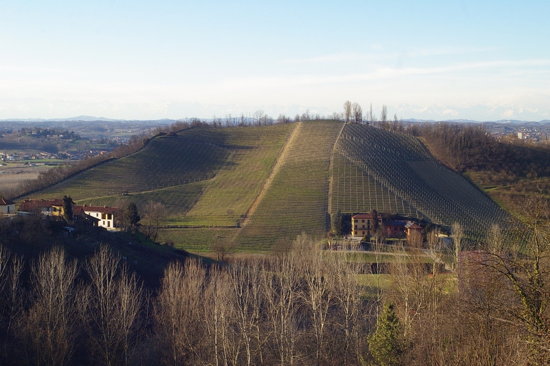 Veduta invernale (2013) del pregevolissimo paesaggio agrario di San Marzanotto, candidato al riconoscimento della Dichiarazione di notevole interesse pubblico ai sensi del Codice dei Beni culturali e del Paesaggio.