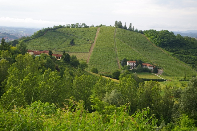 Veduta primaverile del pregevolissimo paesaggio agrario di San Marzanotto, candidato al riconoscimento della Dichiarazione di notevole interesse pubblico ai sensi del Codice dei Beni culturali e del Paesaggio.