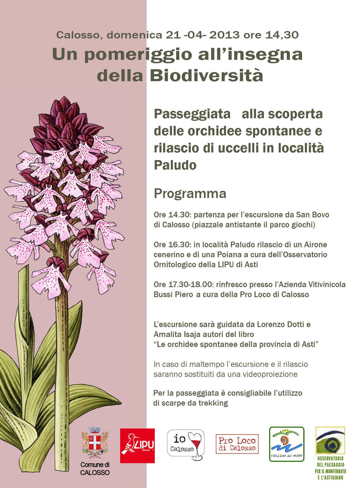 Programma della passeggiata alla scoperta delle orchidee spontanee e rilascio di uccelli in località Paludo (Calosso, domenica 21 aprile 2013).