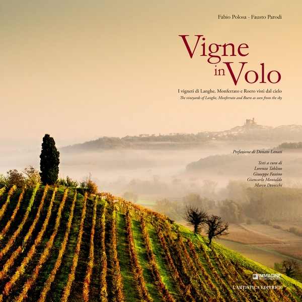 Copertina del Volume Vigne in volo. I vigneti di Langhe, Monferrato e Roero visti dal cielo.