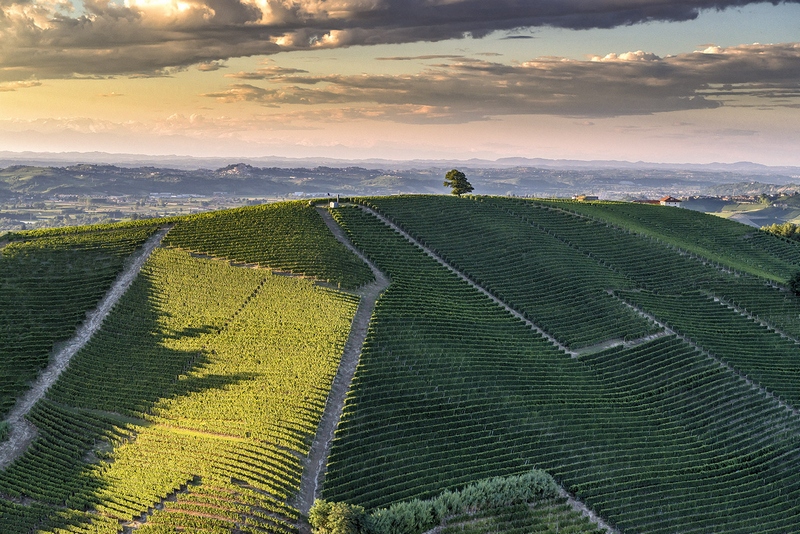 Veduta aerea degli straordinari paesaggi viticoli di Langhe, Monferrato e Roero negli scatti artistici del fotografo Fabio Polosa.