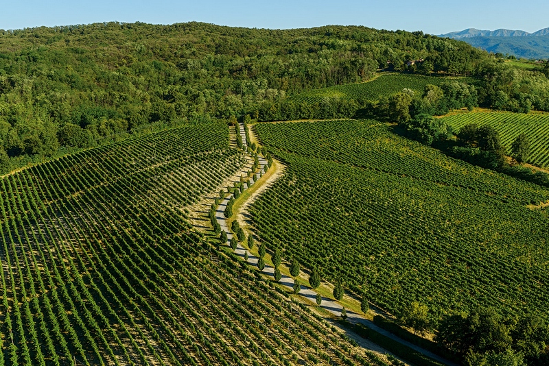 Veduta aerea degli straordinari paesaggi viticoli di Langhe, Monferrato e Roero negli scatti artistici del fotografo Fabio Polosa.