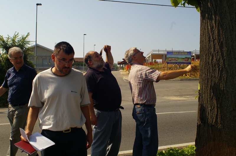 Illustrazione da parte del Dott. Giovanni Pensabene (Settore Agricoltura della Provincia di Asti) delle problematiche individuate a carico della piante del filare della ex SS 10, tali da richiedere o un supplemento di indagine strumentale o l abbattimento. Nella foto; (da sx in senso orario) Dott. Franco Correggia (Presidente dell Associazione Terra, Boschi, Gente e Memorie), Dott. Forestale Mauro Perino (Socio della Società Italiana di Arboricoltura), Dott. Giovanni Pensabene (Settore Agricoltura della Provincia di Asti) e Ing. Angerlo Porta, (Presidente del Circolo Legambiente Valtriversa) [Foto di Marco Devecchi - Presidente dell Osservatorio del Paesaggio per il Monferrato e l Astigiano].