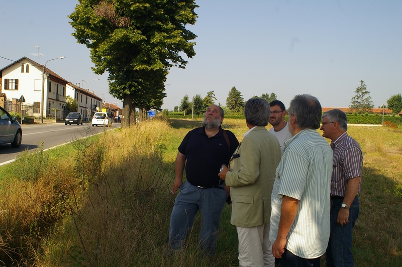 Illustrazione da parte del Dott. Giovanni Pensabene (Settore Agricoltura della Provincia di Asti) delle problematiche individuate a carico della piante del filare della ex SS 10, tali da richiedere o un supplemento di indagine strumentale o l abbattimento. Nella foto; (da sx in senso orario) Dott. Giovanni Pensabene (Settore Agricoltura della Provincia di Asti), Dott. Agr. Ernesto Doglio Cotto (già Presidente dell Ordine dei Dottori Agronomi e Forestali della Provincia di Asti), Dott. Giancarlo Dapavo (Presidente del Circolo Gaia di Legambiente Asti), Dott. Forestale Mauro Perino (Socio della Società Italiana di Arboricoltura) e Ing. Angerlo Porta, (Presidente del Circolo Legambiente Valtriversa) [Foto di Marco Devecchi - Presidente dell Osservatorio del Paesaggio per il Monferrato e l Astigiano].