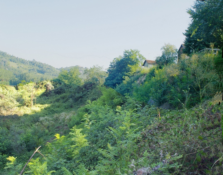 Veduta del sito a Revignano d asti - Località Casarotto interessato dal vasto fenomeno franoso e messo in sicurezza con l ausilio delle tecniche dell Ingegneria naturalistica