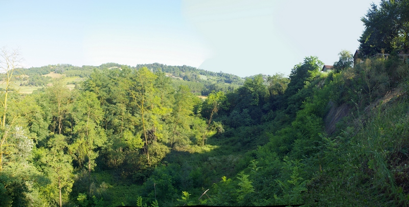 Veduta del sito a Revignano d asti - Località Casarotto interessato dal vasto fenomeno franoso e messo in sicurezza con l ausilio delle tecniche dell Ingegneria naturalistica.