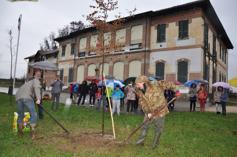 Momento della messa a dimora del primo albero nel Parco di Villa Maffei a Buttigliera d Asti.