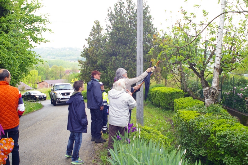 Momento di approfondimento sul tema dell Ailanto (Ailanthus altissima) con il prelievo di un ramo per una osservazione diretta delle foglie da parte dei partecipanti alla camminata.