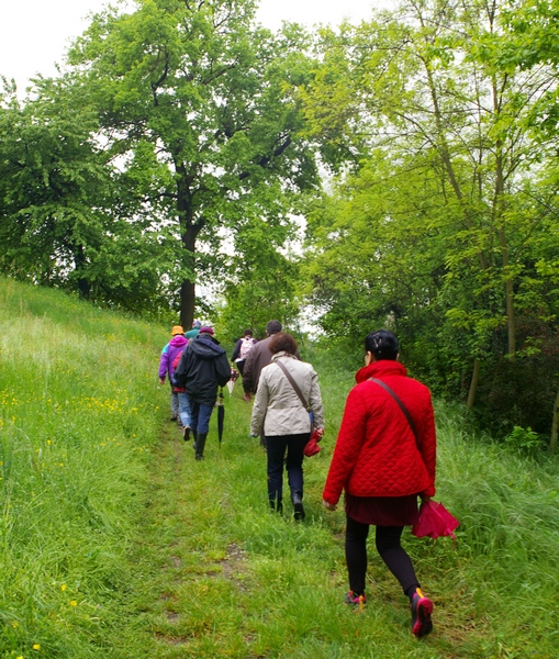 Partecipanti alla camminata in prossimità del boschetto delle orchidee.