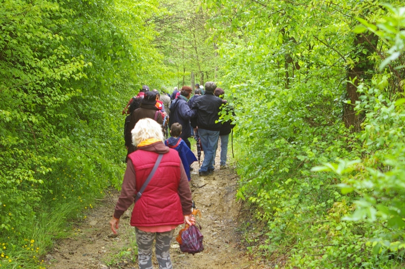 Camminatori lungo un sentiero nel bosco di Cantarana.