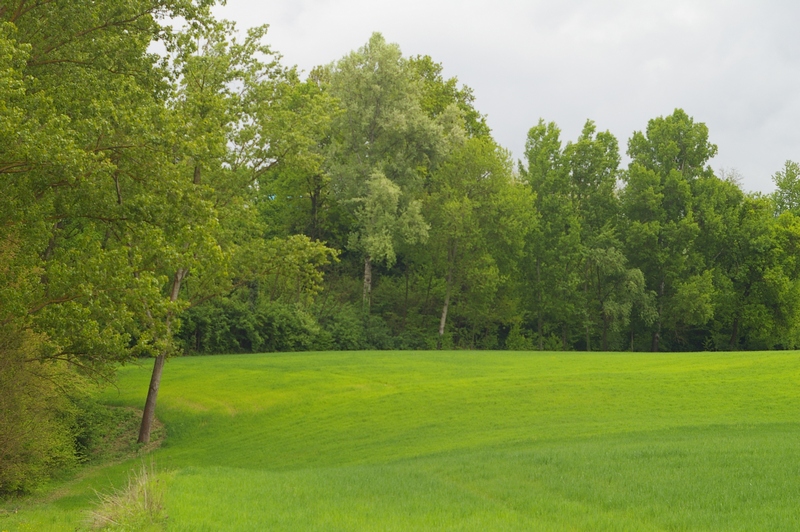 Veduta del bel paesaggio agrario di Cantarana.