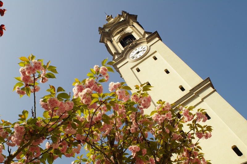 Veduta del Campanile della Chiesa parrocchiale di Cantarana.