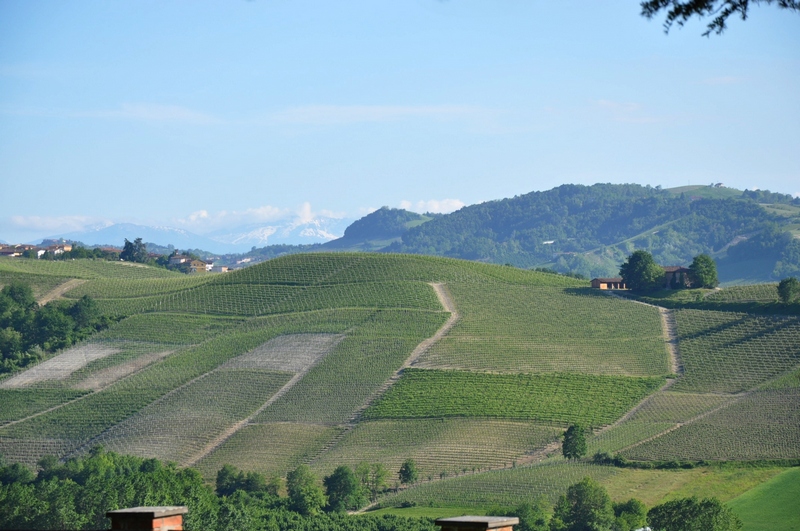 Veduta dello straordinario paesaggio viticolo delle Langhe dal balcone panoramico del Castello di Grinzane Cavour.