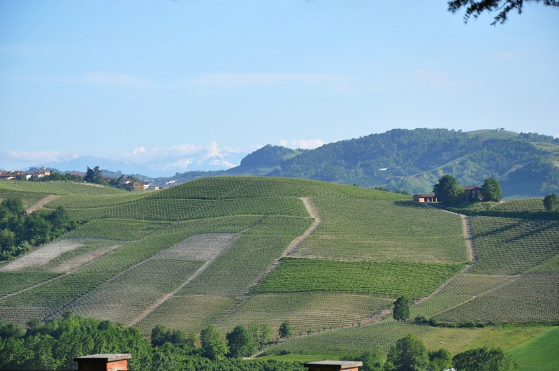 Veduta dello straordinario paesaggio viticolo delle Langhe dal balcone panoramico del Castello di Grinzane Cavour.