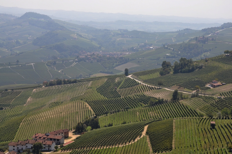 Veduta dello straordinario paesaggio delle Langhe nel territorio comunale di La Morra, dichiarato dall UNESCO "Patrimonio dell Umanità".