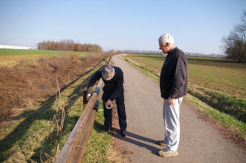 Operazioni di distanziamento delle postazioni di messa a dimora dei tigli per la realizzazione della nuova alberata lungo la pista ciclabile di Villanova d Asti.