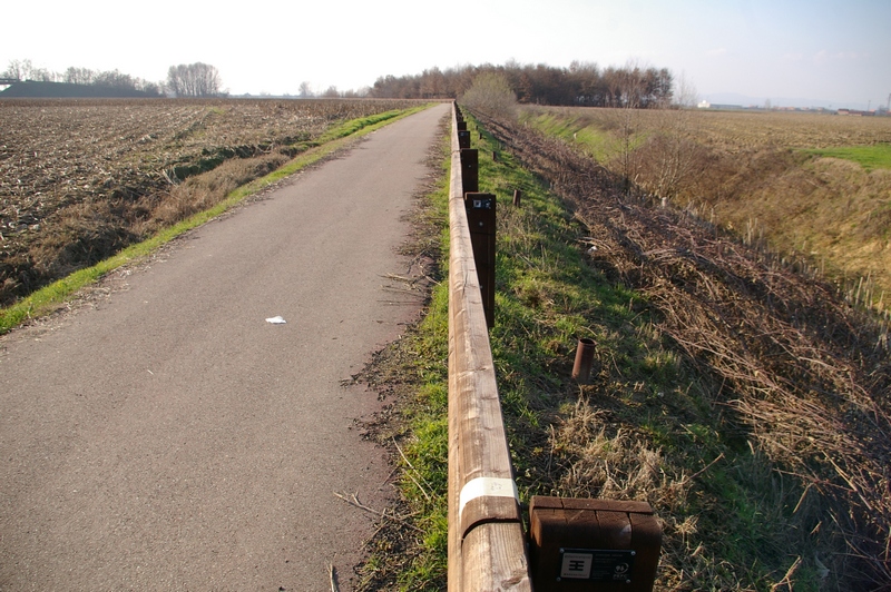 Segni posti sul guard rail per individuare in modo preciso le postazioni di piantagione dei tigli , distanziati tra di loro di 12 metri.