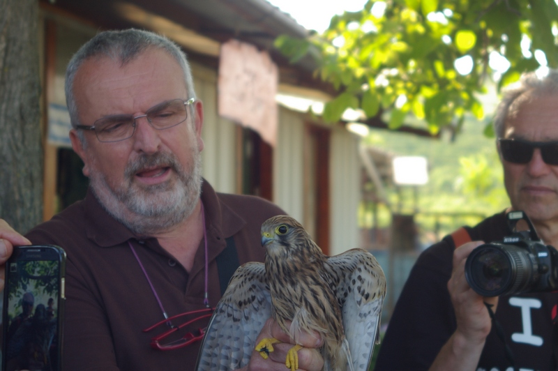  Avifauna mostrata al pubblico da parte del Centro Recupero Fauna Selvatica della LIPU di Asti con breve descrizione degli animali rilasciati