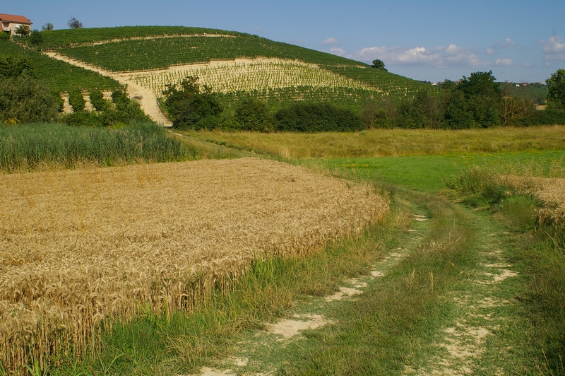 Capezzagna nel bel paesaggio agrario del Paludo.