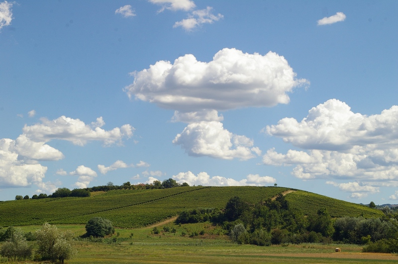 Veduta dei suggestivi paesaggi agrari e naturali di fondovalle tra i territori comunali di Calosso, Costigliole d'Asti ed Agliano Terme, meritevoli di un apposita tutela ed adeguata valorizzazione.