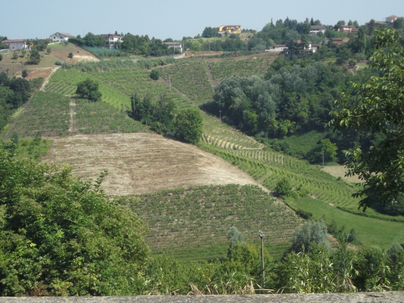 Veduta del pregevolissimo paesaggio agrario della vallata tra San Marzanotto e Mongardino.