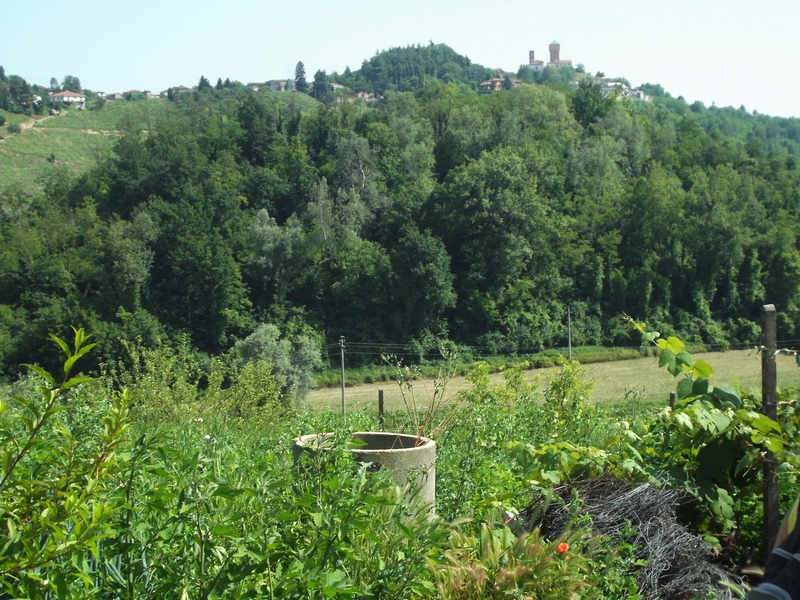 Veduta del pregevolissimo paesaggio agrario della vallata tra San Marzanotto e Mongardino.