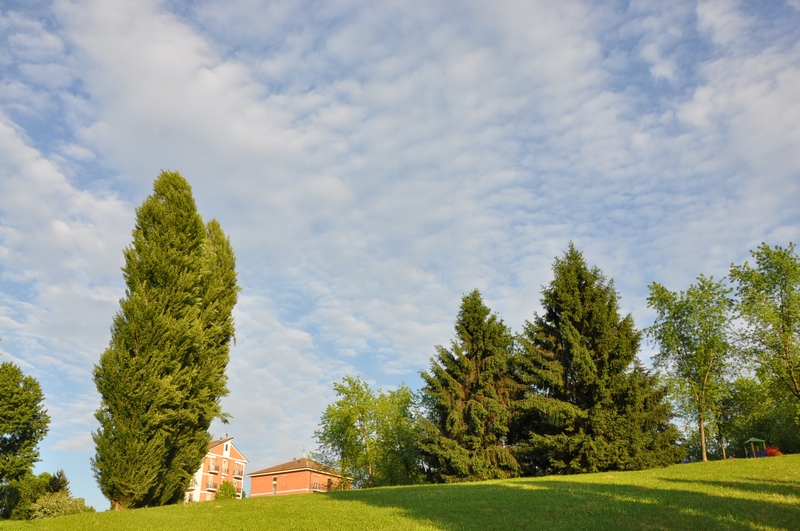 Veduta del Parco di Rio Crosio.