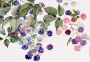 Mostra " Ritratti Floreali dalla natura all