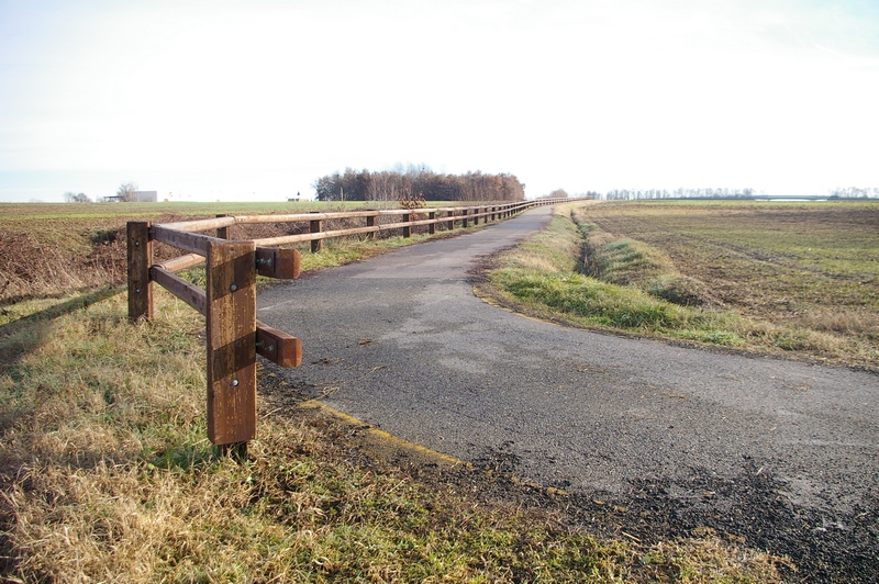 Veduta della pista ciclabile di Villanova d Asti, oggetto dell intervento di sistemazione a verde per la realizzazione della nuova alberata di tigli (Tilia cordata).