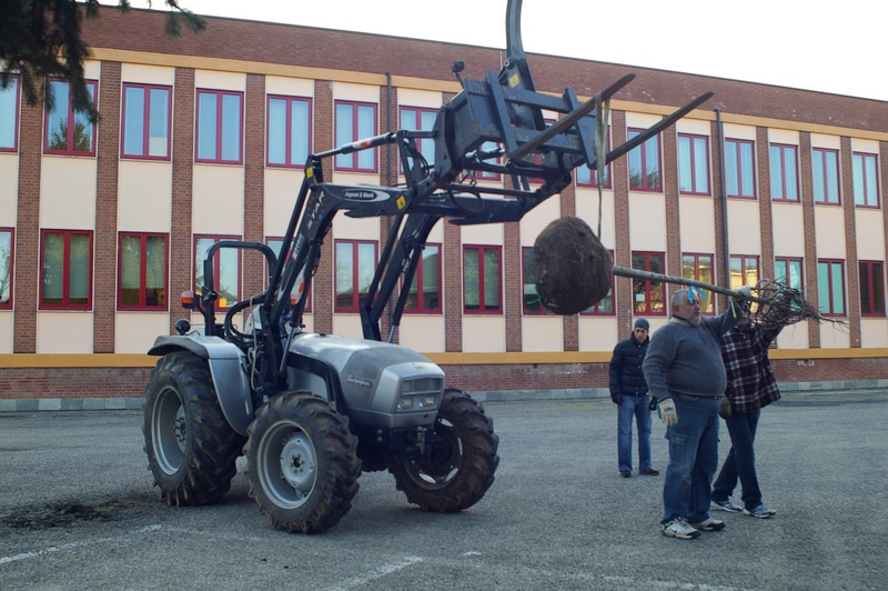 Caricamento degli alberi dal piazzale delle Scuole di Villanova d Asti, grazie all aiuto degli Alpini di Villanova e del Comune, sino alla pista ciclabile per la loro messa a dimora.