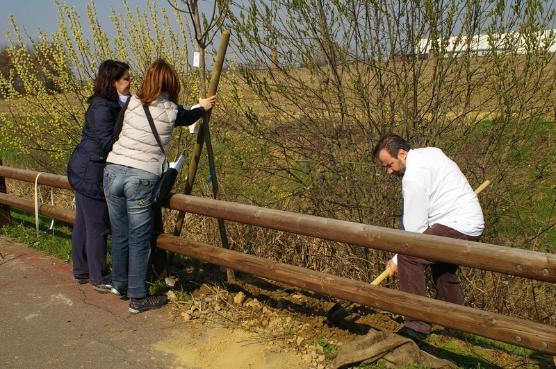 Scavo e messa a dimora di un tiglio da parte di Marco Devecchi (Osservatorio del Paesaggio per il Monferrato e l Astigiano) con altri volontari [Foto di Franco Correggia].