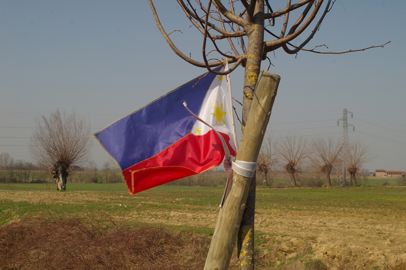 Albero dedicato alle Filippine.